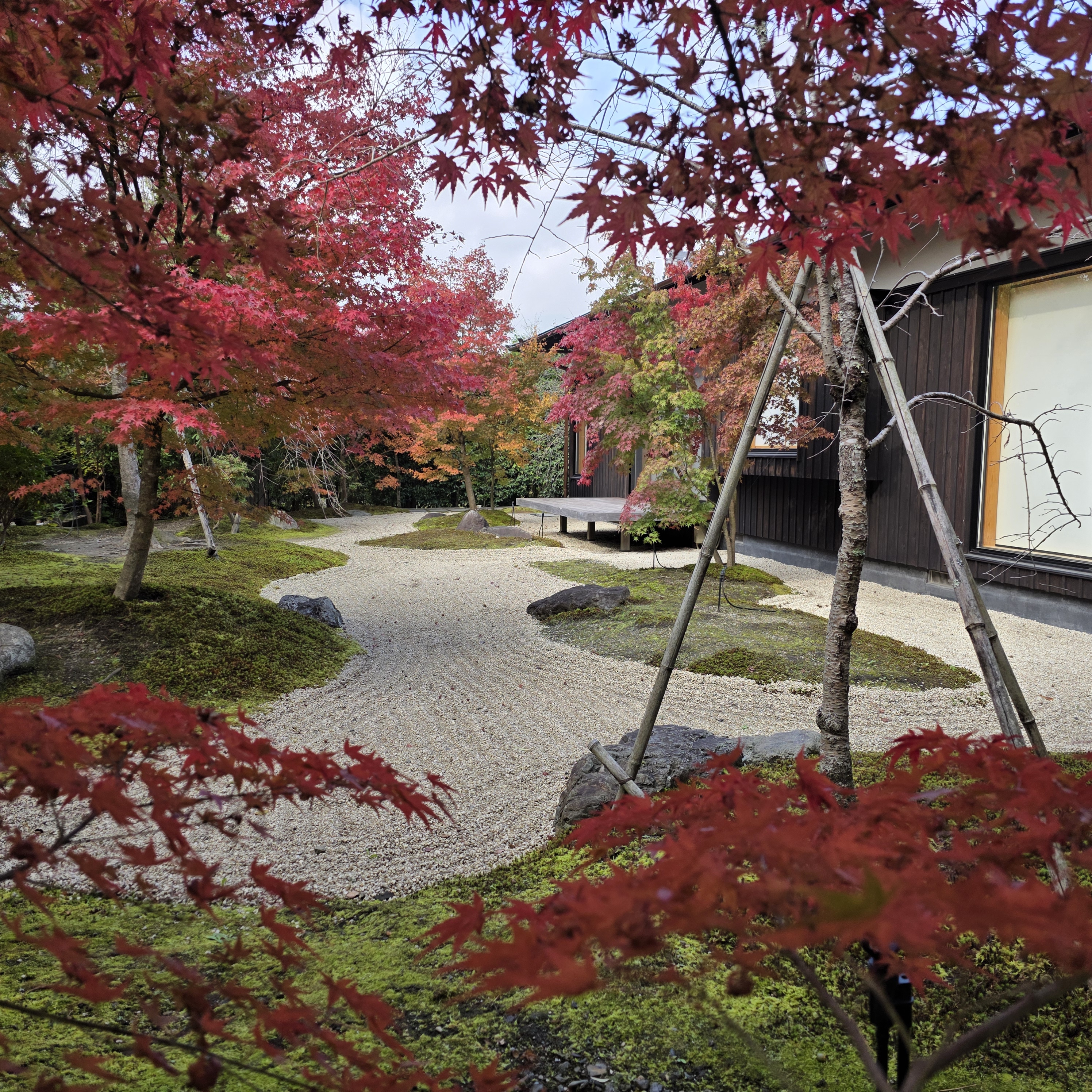 南禅寺別邸 看月亭の庭園の紅葉