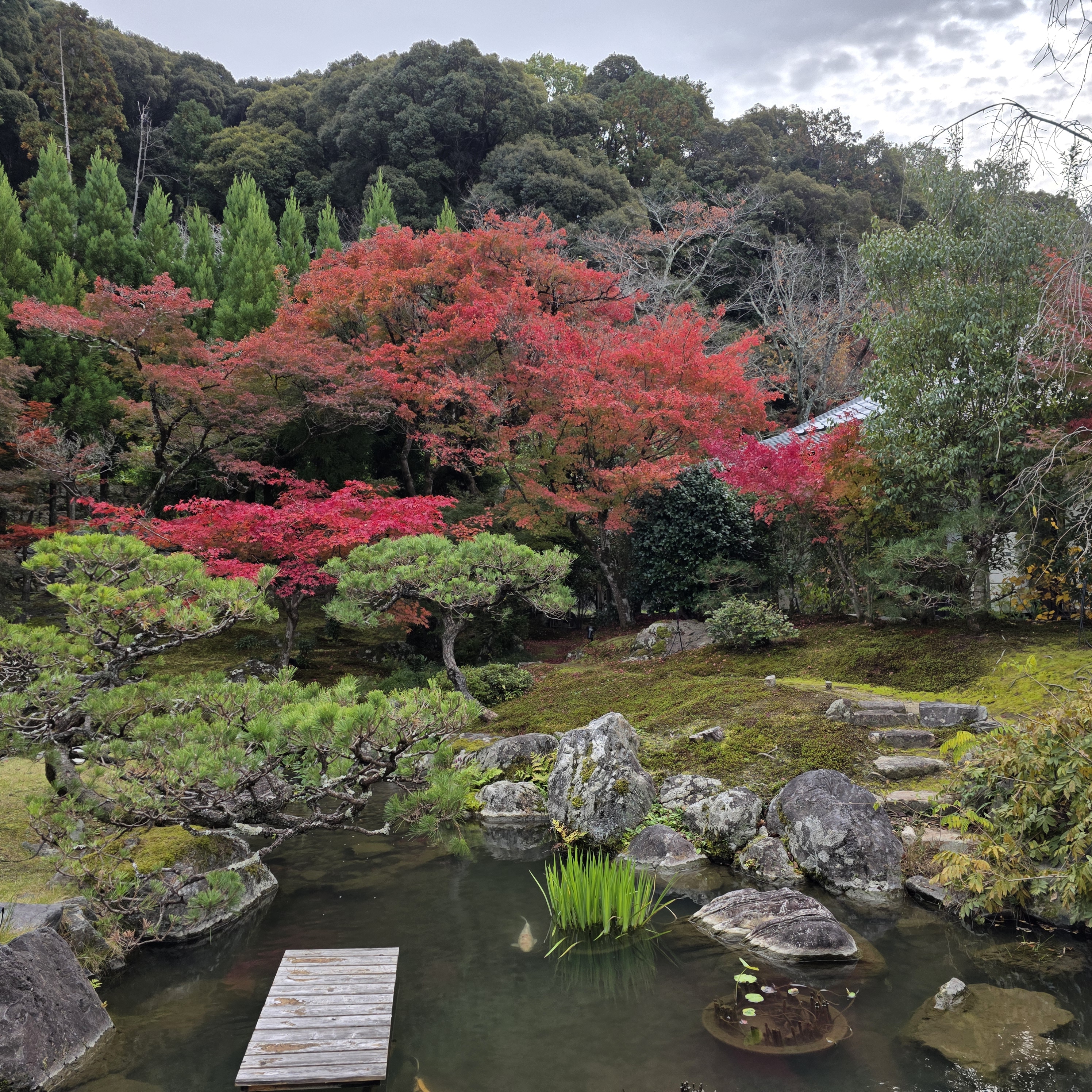 南禅寺別邸の池泉回遊式庭園