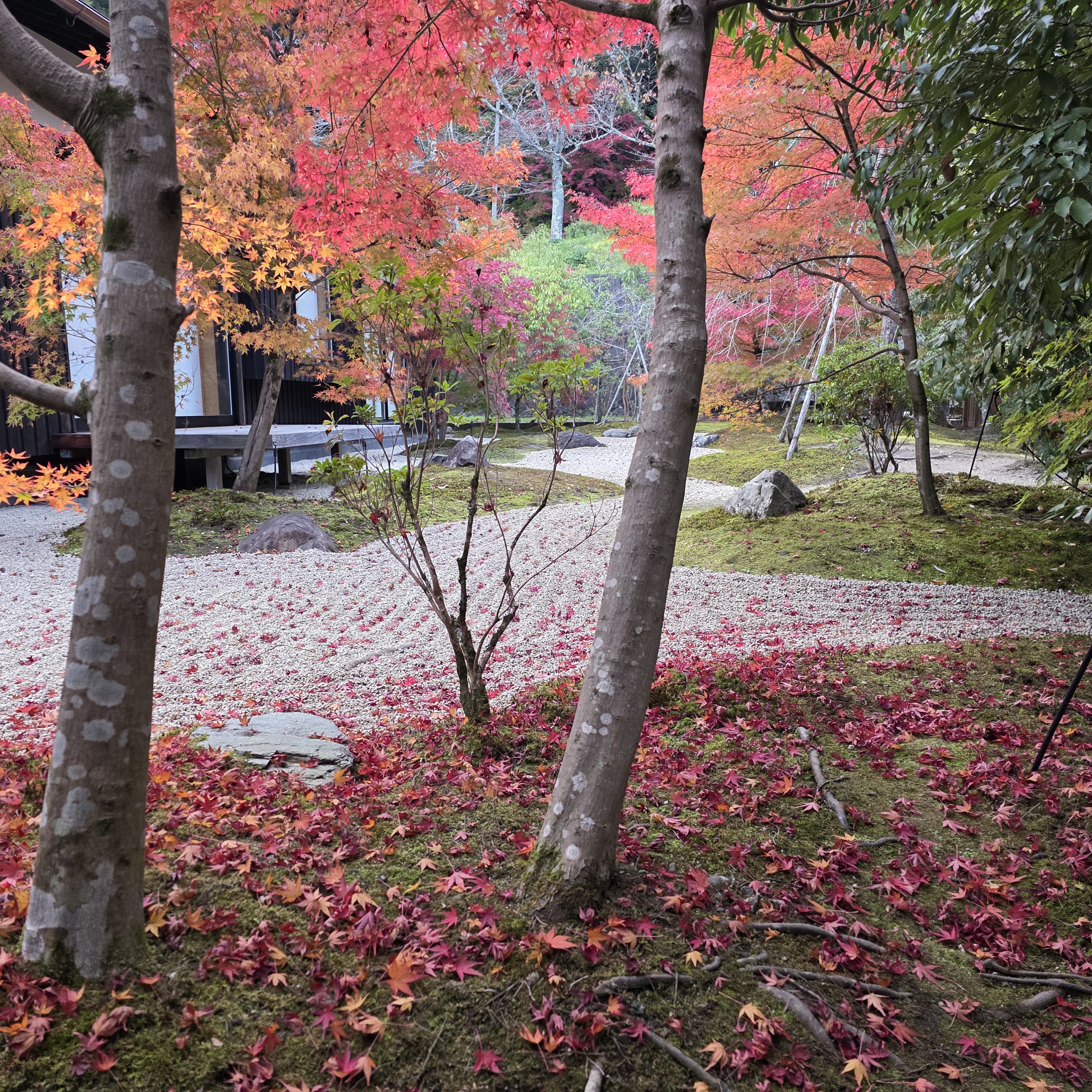 閑雲庵の和モダンな庭園